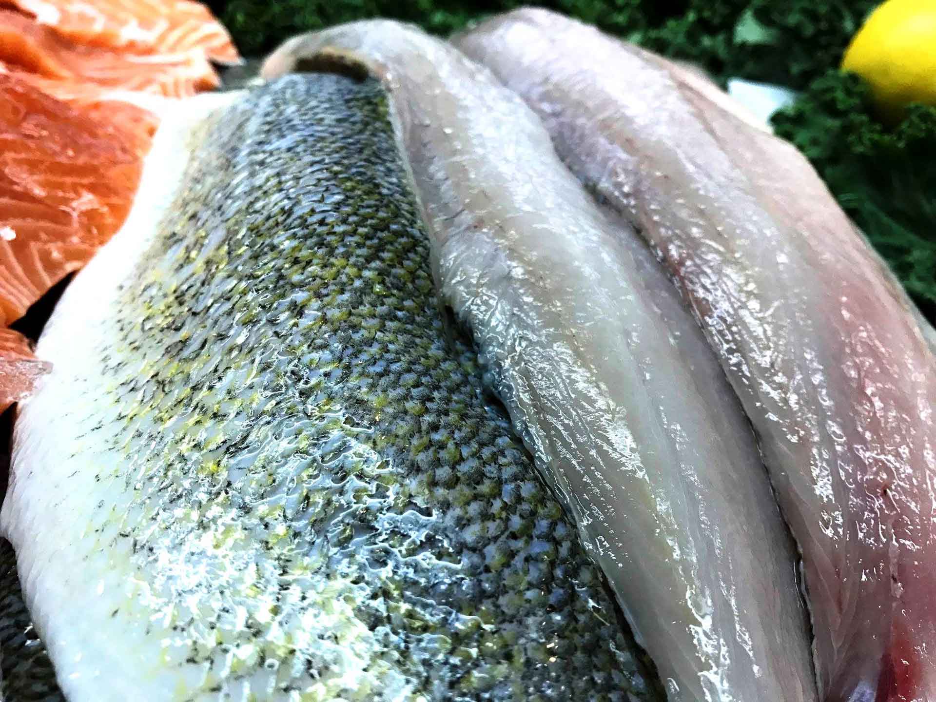 Adirondack-Seafood-Fish-Market-Fish-2