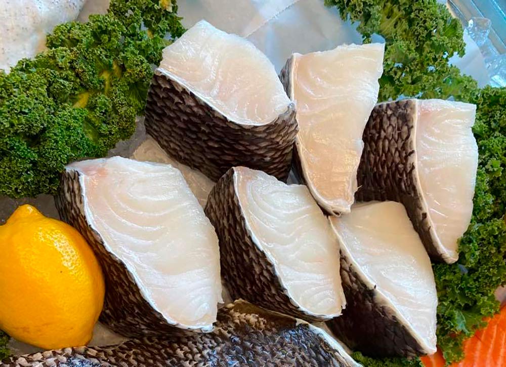 Adirondack-Seafood-Fish-Market-Fish