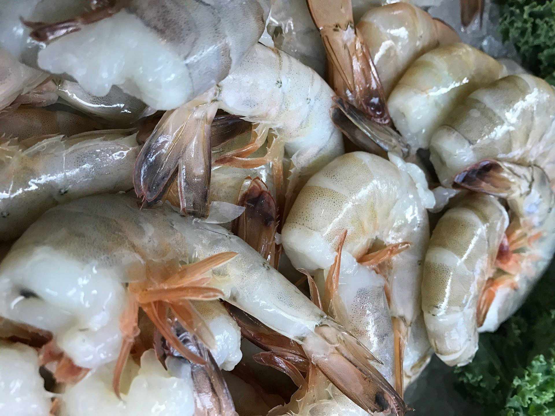 Adirondack-Seafood-Fish-Market-Fresh-Shrimp